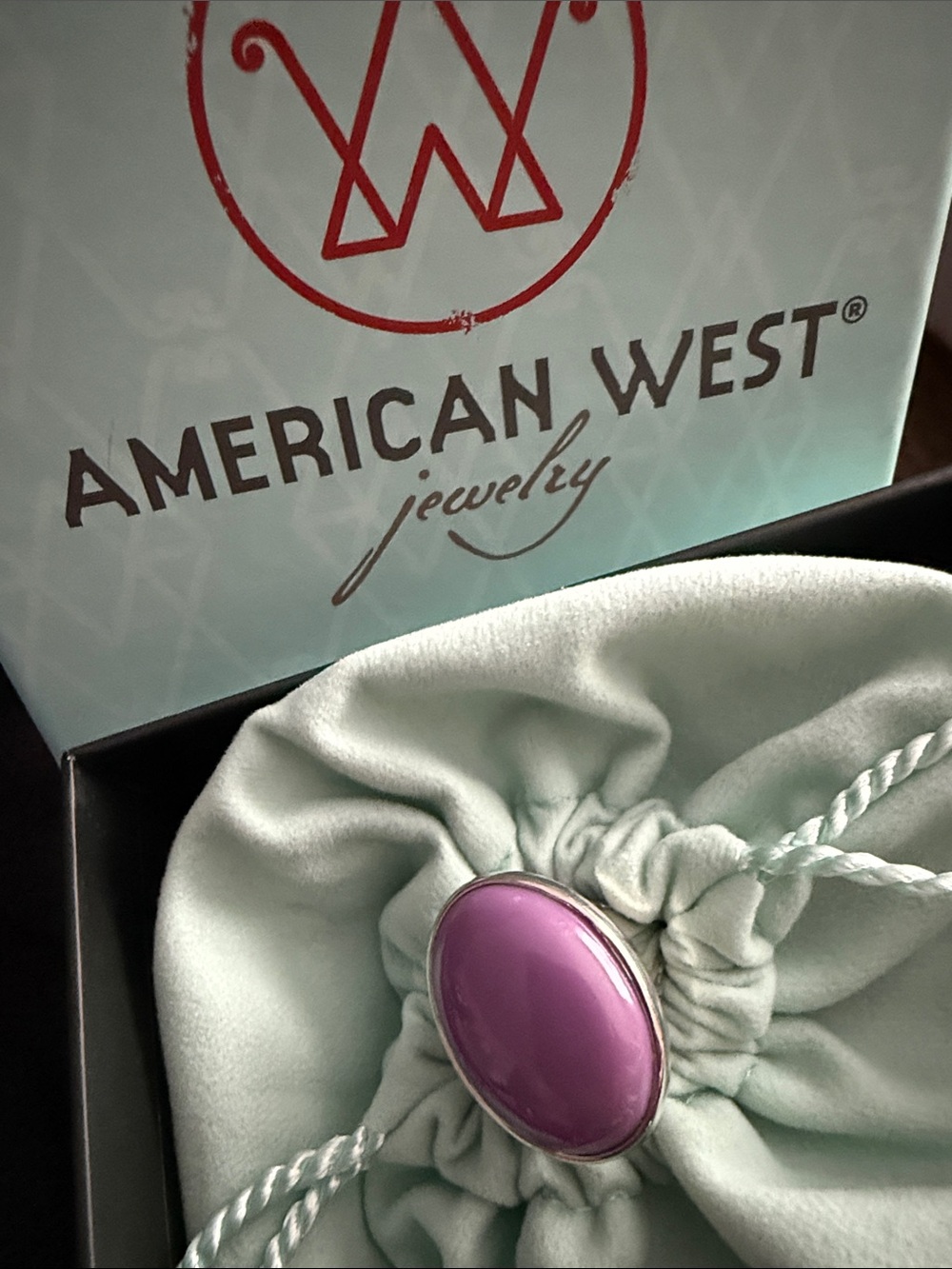 American West Bold Oval Gemstone Bezel Set Ring, Sterling Silver Size 5